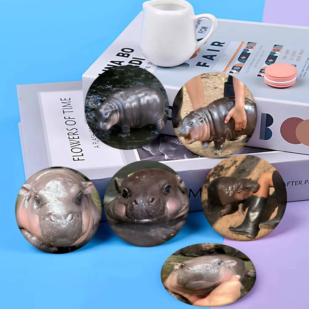 Baby Hippo Moo Deng Badge Tinp - Baby Clothing Japan บทวิจารณ์และราคา